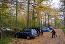 bowness knott car park