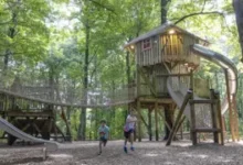stockeld park discount code